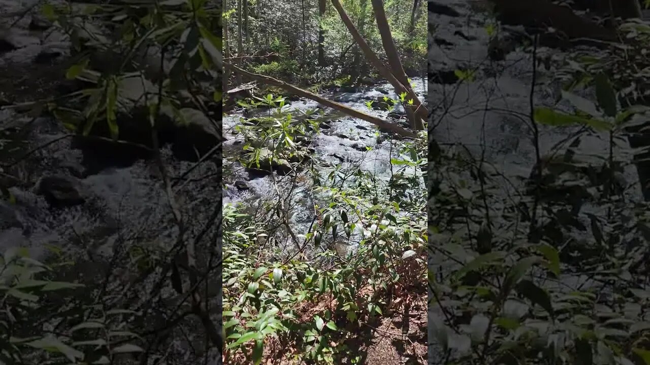 Another River along my Morning Hike on a Nature Trail in the Smoky Mountains