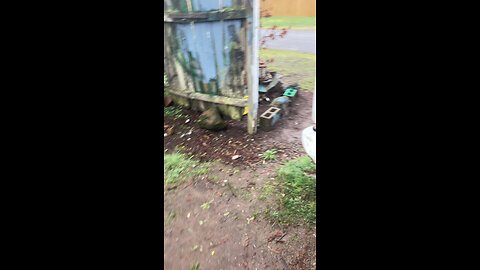 Feeding the Roosters