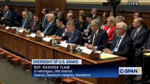 Jamie Dimon Owns Rashida Tlaib on Radical Climate Policy