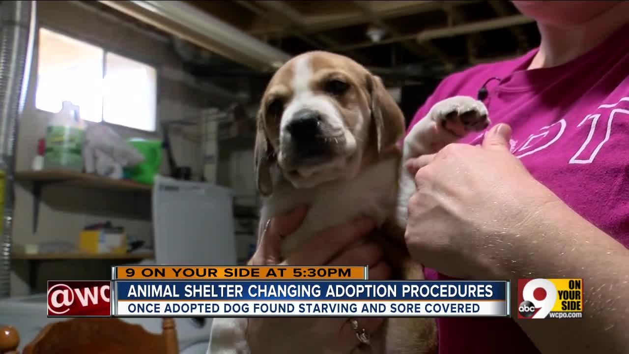 Puppy's mistreatment forces animal rescue to change its rules