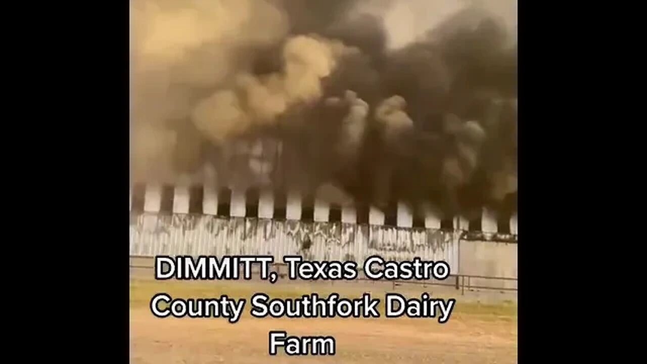 18,000 cattle lost in this fire! So heartbreaking