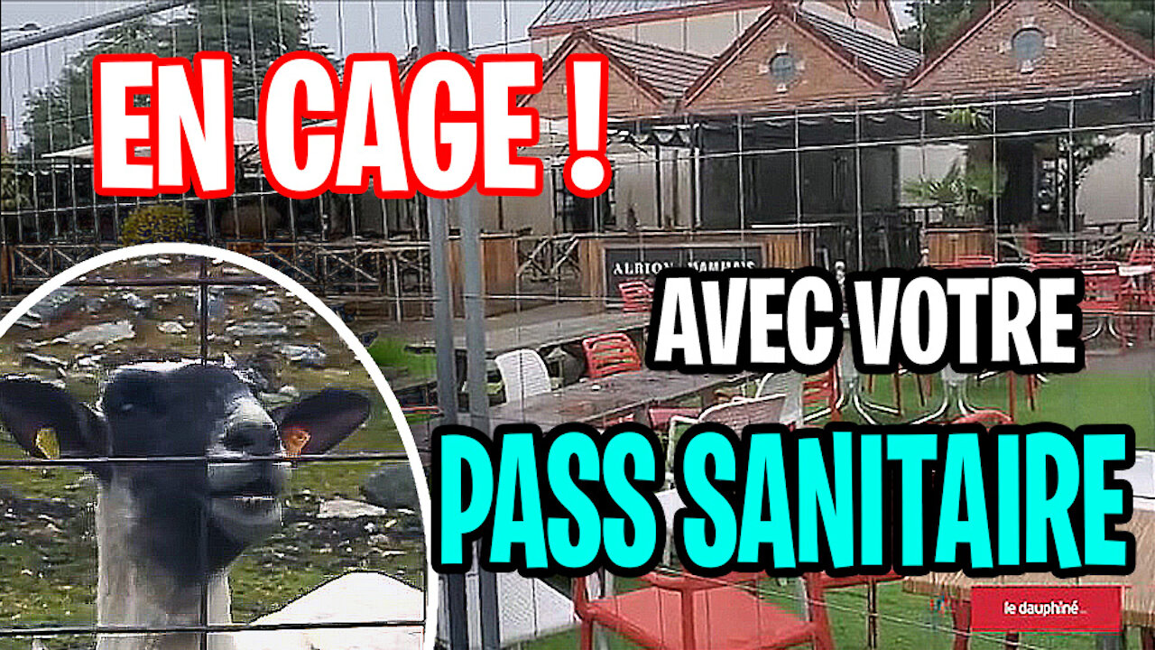 En cage avec votre pass sanitaire!