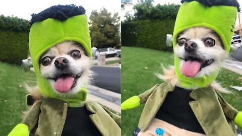 Is there something in my teeth