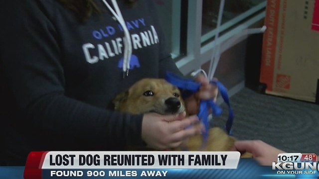 Lost dog reunited with family in Tucson