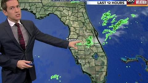 ABC ACTION WEATHER FORECAST