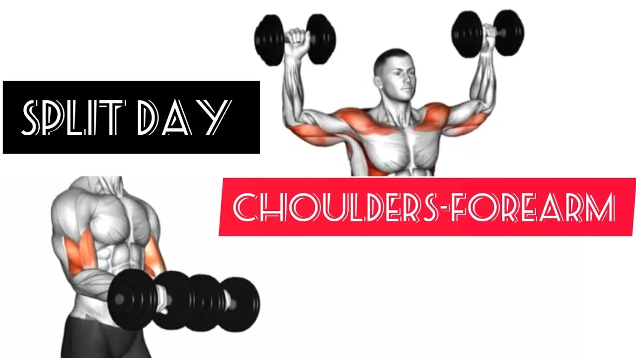 4-day program with dumbbells:4 day "choulders- forearm"