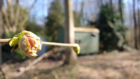 6) Begehung Waldparzelle nach Sturm / Inspection of forest plot after storm