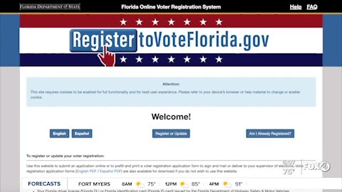 Chief Information Officer blames computer server