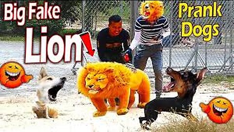 Dog's Hilarious Reaction to Fake Lion and Tiger Prank!