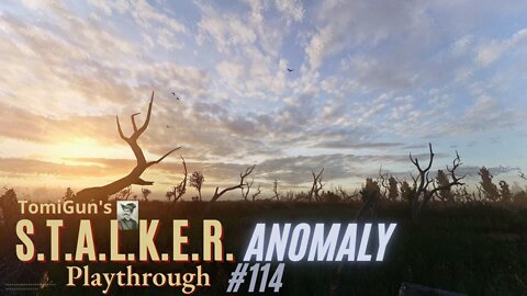 S.T.A.L.K.E.R. Anomaly #114: Another Day in the Swamp. Which I Love. And If You Dont, Then F.U.!