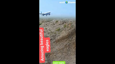 JUNGLE LANDING//✈️😱😎🔥#shortvideo