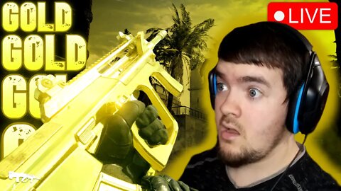 Can We Get Every Gun Gold? (COD: MWII)