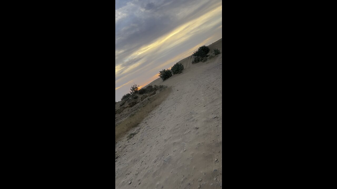 Going to camel safari