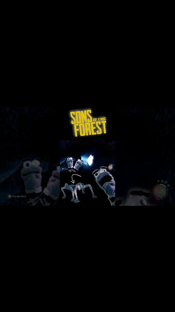 Does it have a name? #sonsoftheforest #harolddoeshorror #horrorgaming