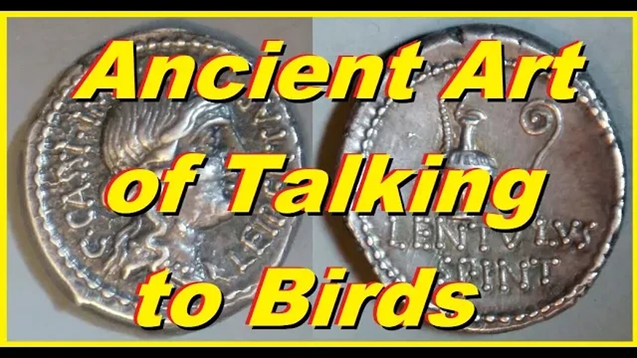 Augury, Ancient Art of Talking to Birds. What the Discussion was Actually About. Reading Ancient Tex