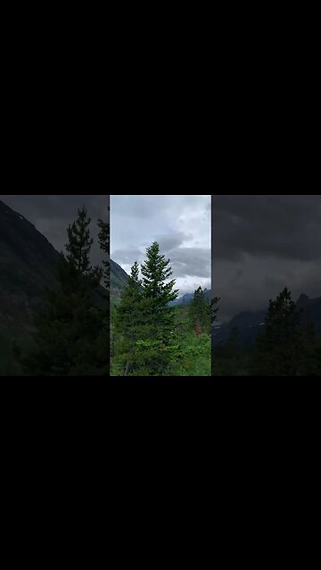 In the Middle of Montana