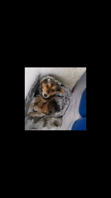 Good man, you are the best, may everything be fine with you