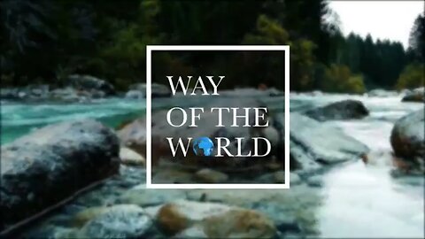 Way Of The World - Vertigo Politix