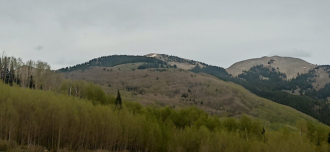 San Juan National Forest, Colorado. Forest road 316 campsite review