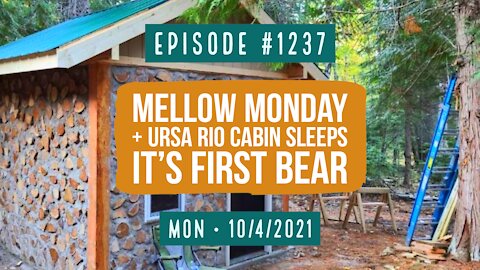 #1237 Mellow Monday & Ursa Rio Cabin Sleeps It's First Bear