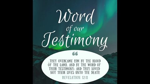 THE POWER OF YOUR TESTIMONY 2022 Testimony Training at Somebody Cares Tampa Bay