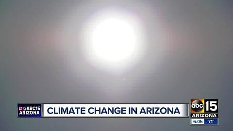 What are Arizona cities and counties doing to counter climate change?