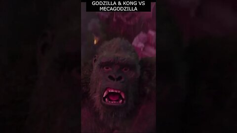 GODZILLA & KONG VS MECAGODZILLA