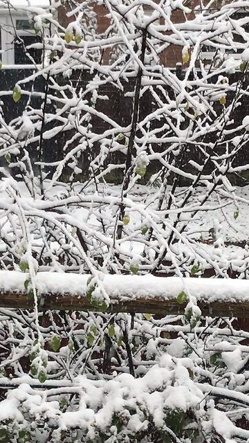 UK Wales started to snow 19/11/2024