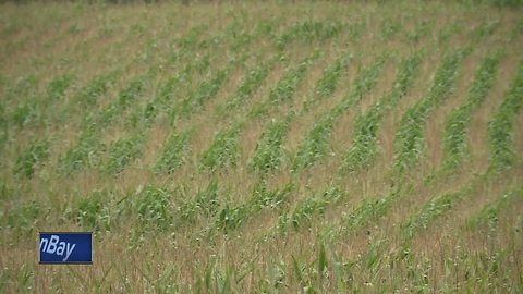 FARMERS FIELDS