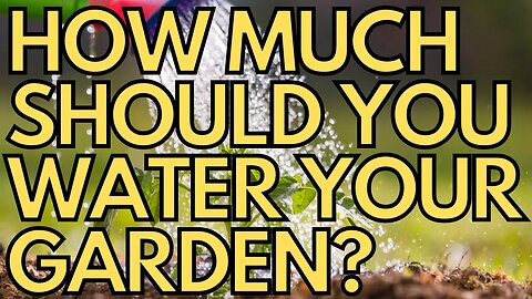 💧 How Much Should You Water Your Vegetable Garden? 💧