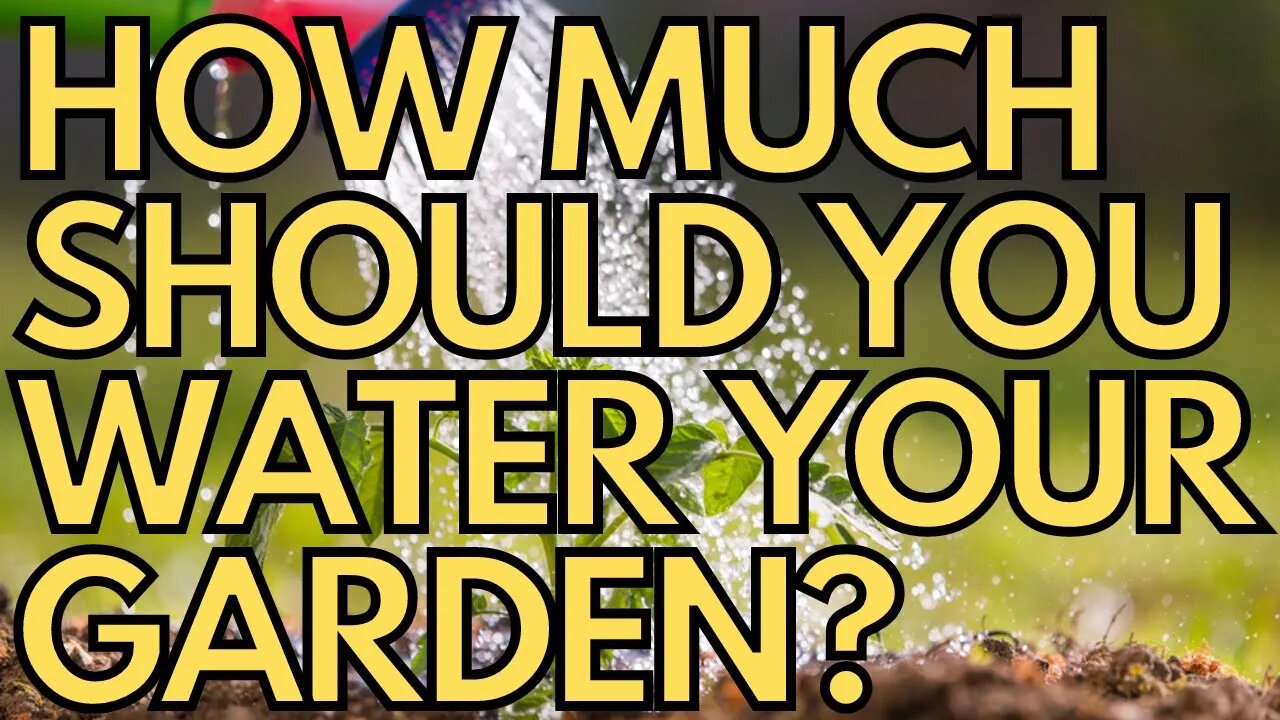 💧 How Much Should You Water Your Vegetable Garden? 💧