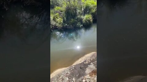 Beautiful Creek in the Australian Bush at the Blue Mountains