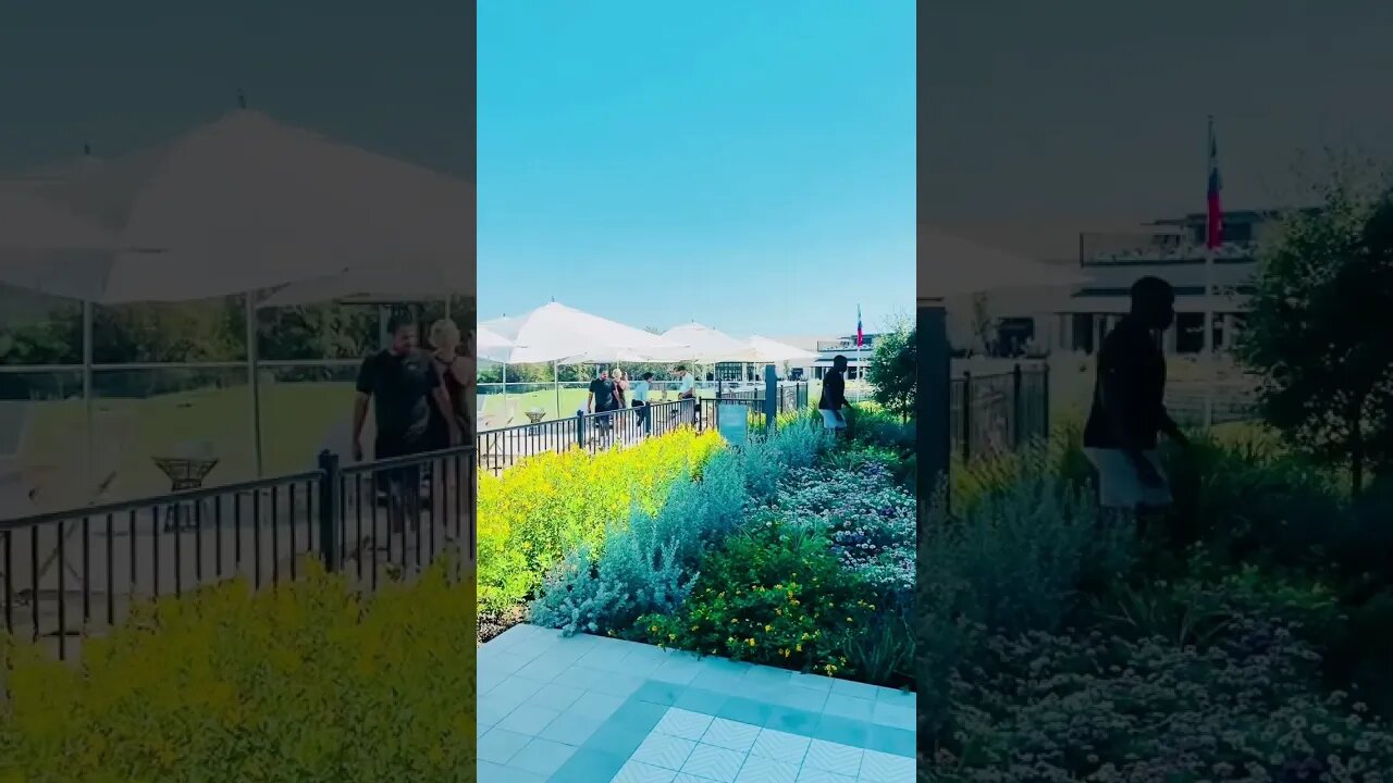 德州红脖的周末 #Omni Resort