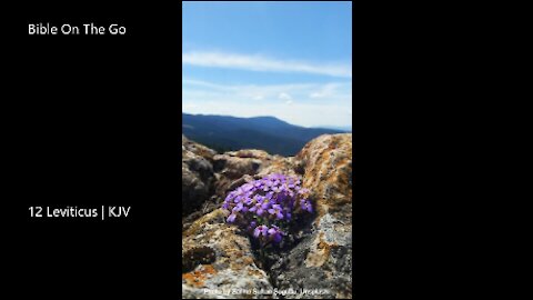 Leviticus 12 | KJV