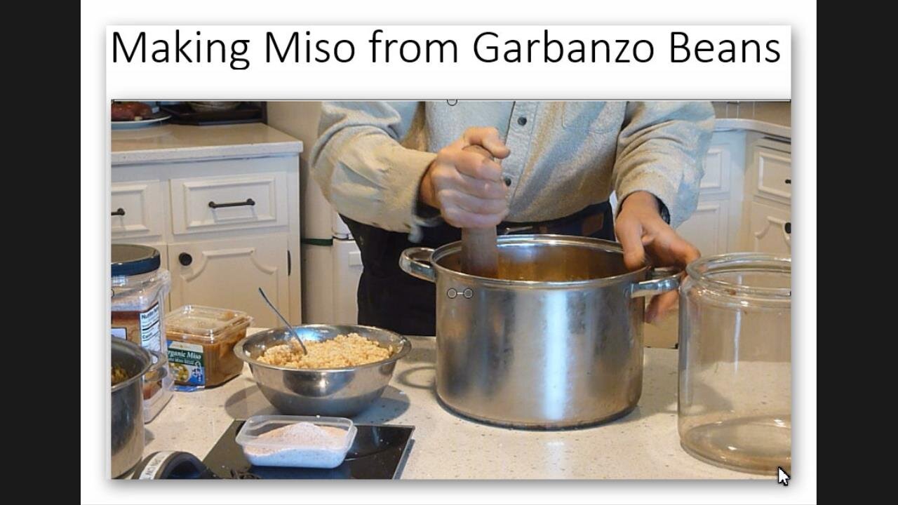 Making Miso at Home using Garbanzo Beans