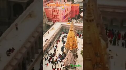 काशीविश्वनाथ मंदिर बनारस #kashi vishwanath #shortvideo #youtbeshort #short