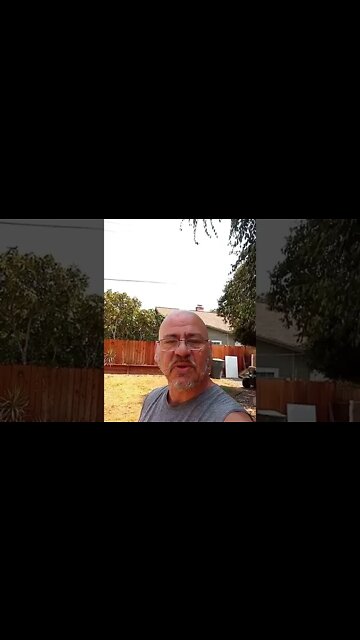 Bible study Sunday, and Air Gun Fun Chat!