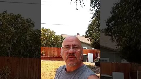 Bible study Sunday, and Air Gun Fun Chat!