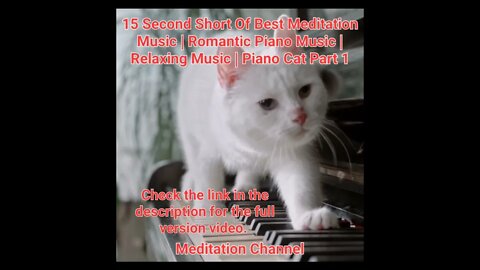 15 Second Short Of Best Meditation Music | Piano Music | Relaxing Music | Piano Cat Part 1 #shorts