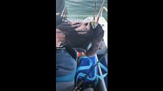 Fish takes revenge on Father’s fishing rod