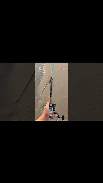 Lots of Flounder all over this Beach in July.