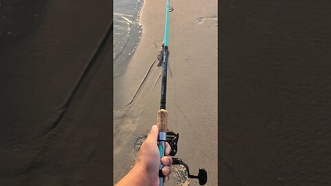 Lots of Flounder all over this Beach in July.