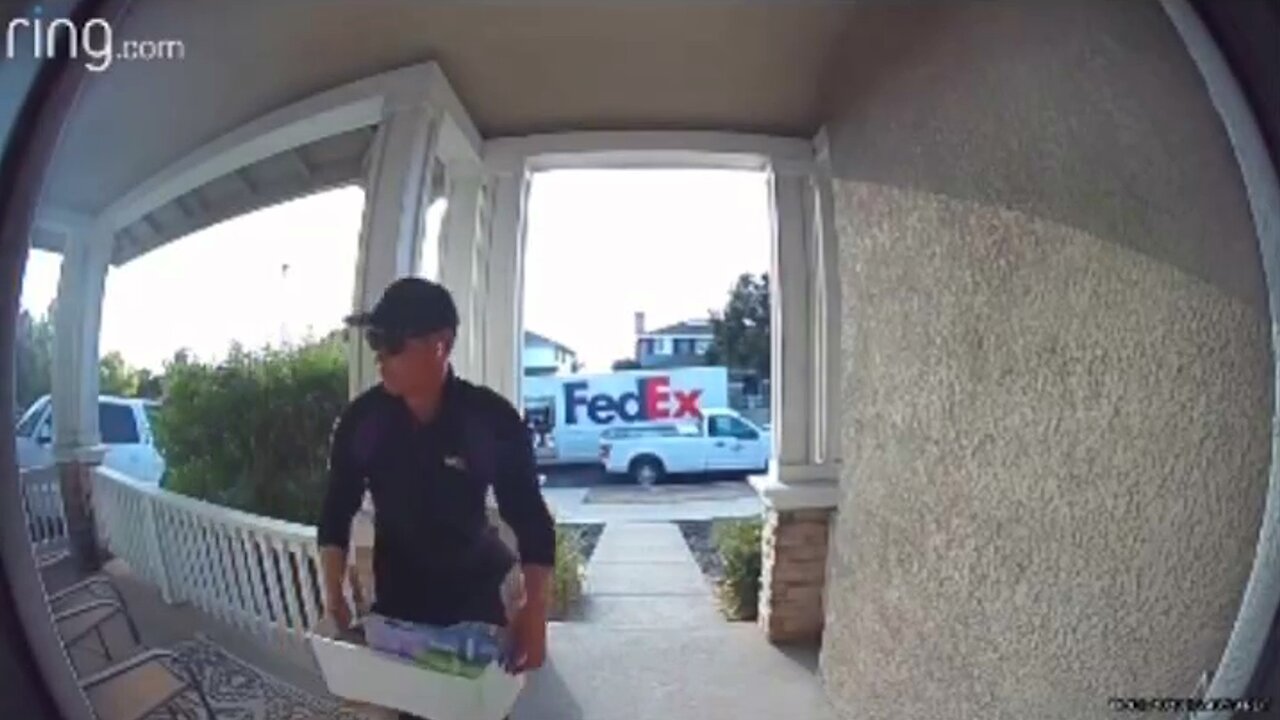 Package Delivery Driver Steals Whole Bowl of Snack Caught on Ring Camera | Doorbell Camera Video