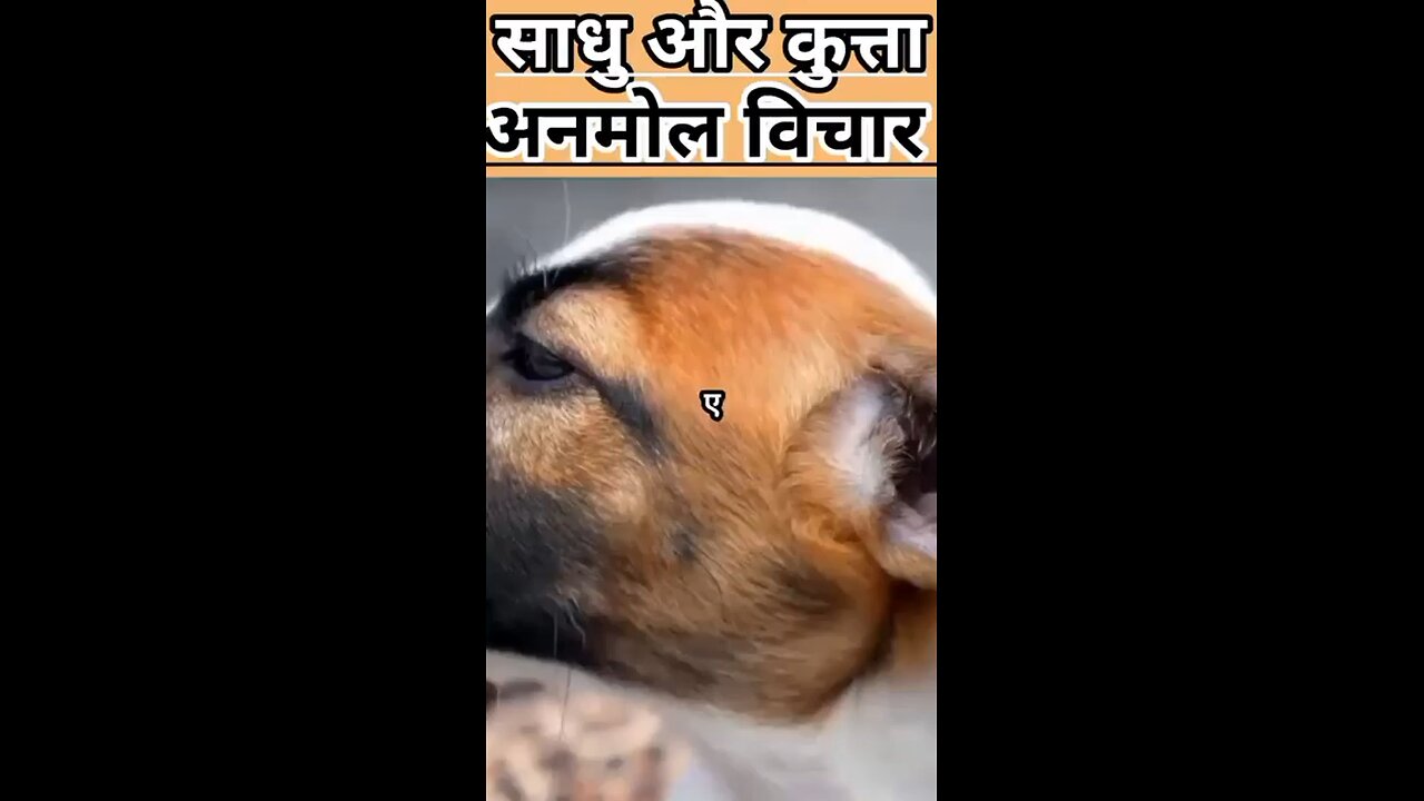 Anmol Vichar