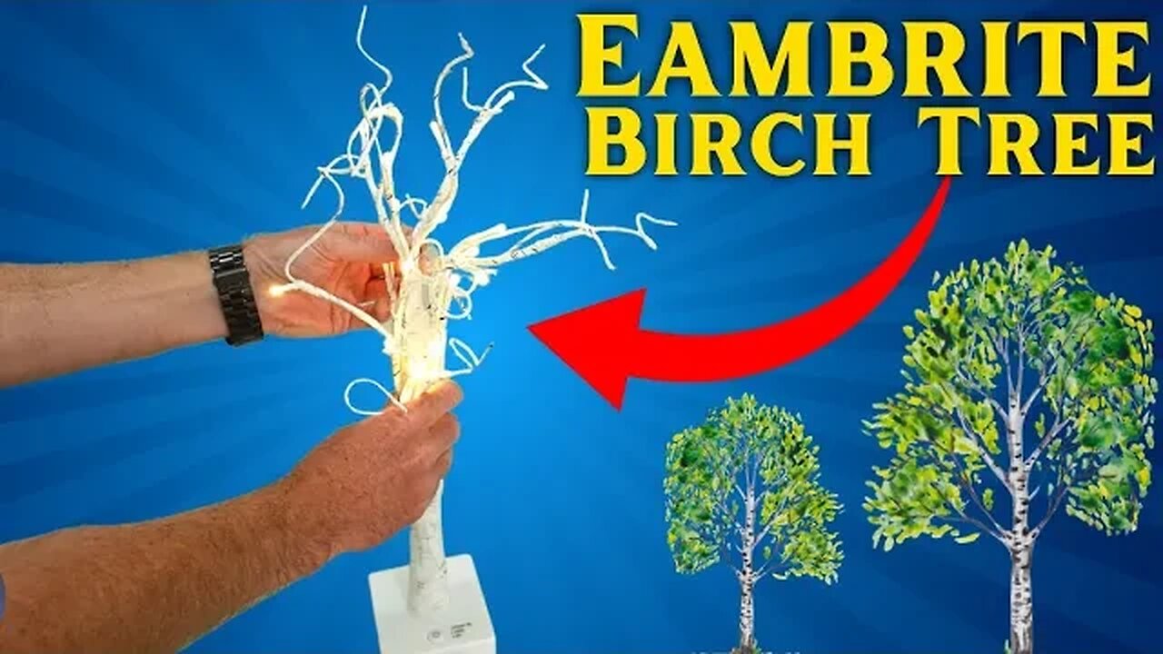 EAMBRITE Tabletop Tree Christmas Decorations, Mini Birch Tree with Lights (UNBOXING & REVIEW!)