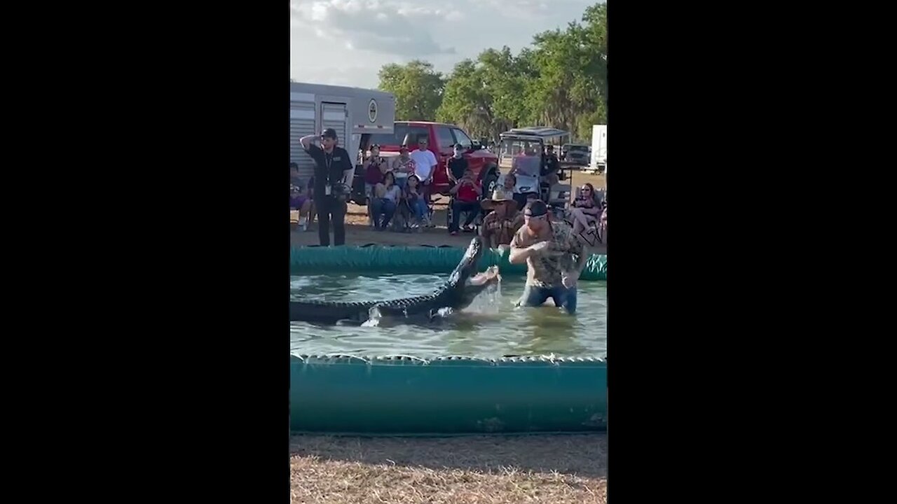 Horror moment alligator wrestler has TOE ripped off