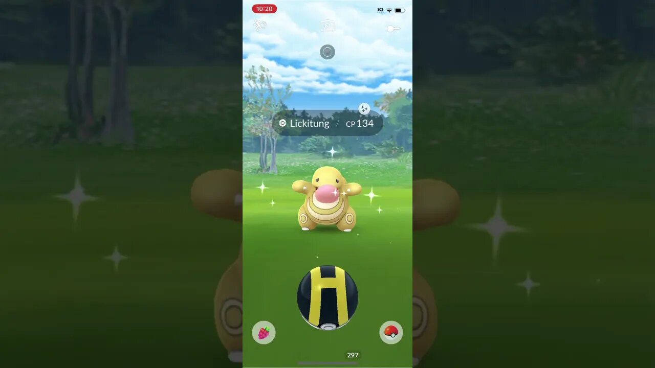 Shiny Compilation