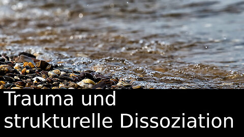 Trauma und strukturelle Dissoziation