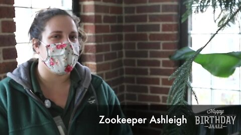 Potter Park Zoo's Birthday Video for Jaali