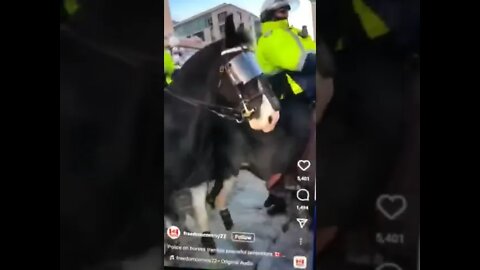 🐴 🚔Horse 🐎 trample OTTAWA